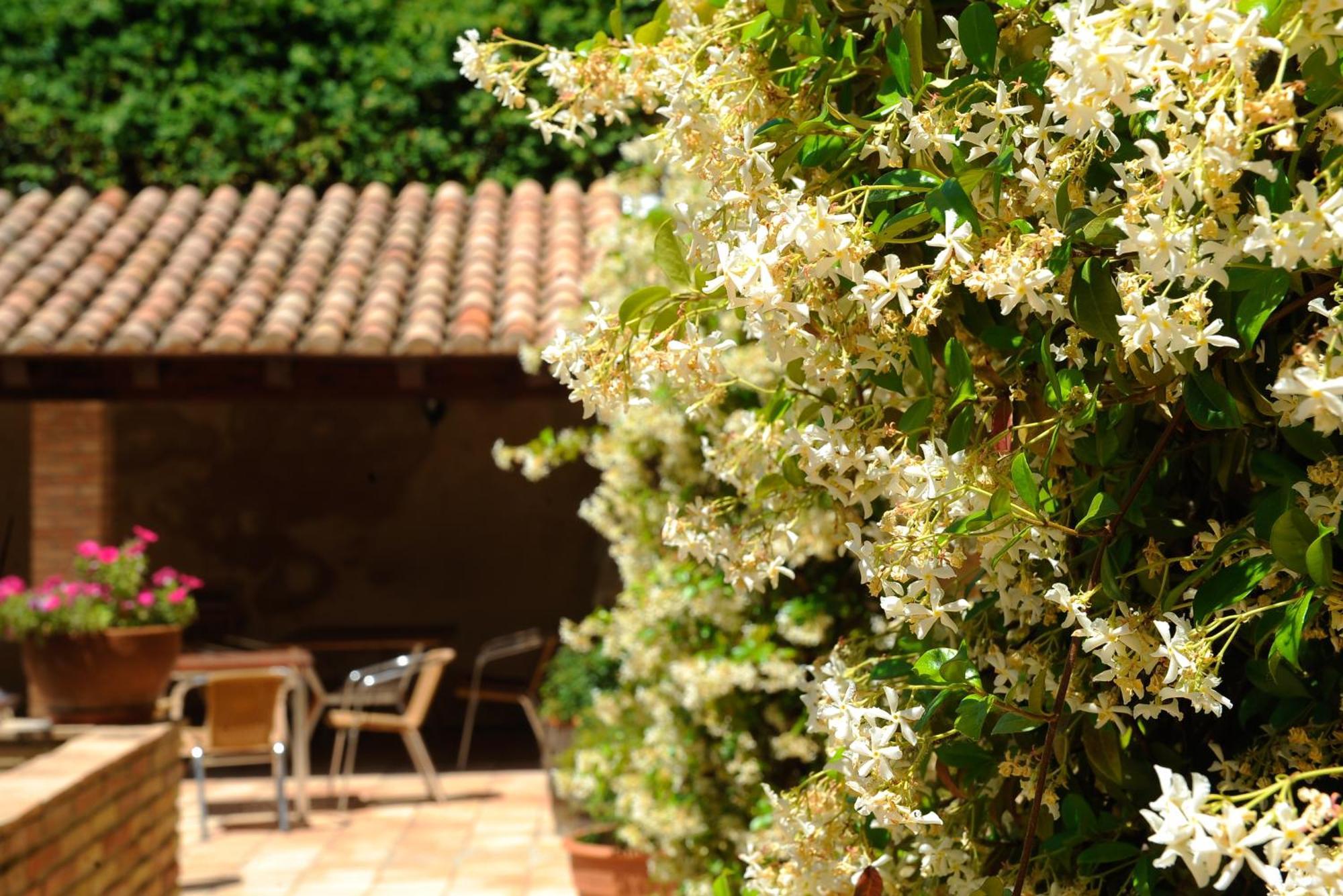 Font Del Pas Hotel Beceite Exterior photo
